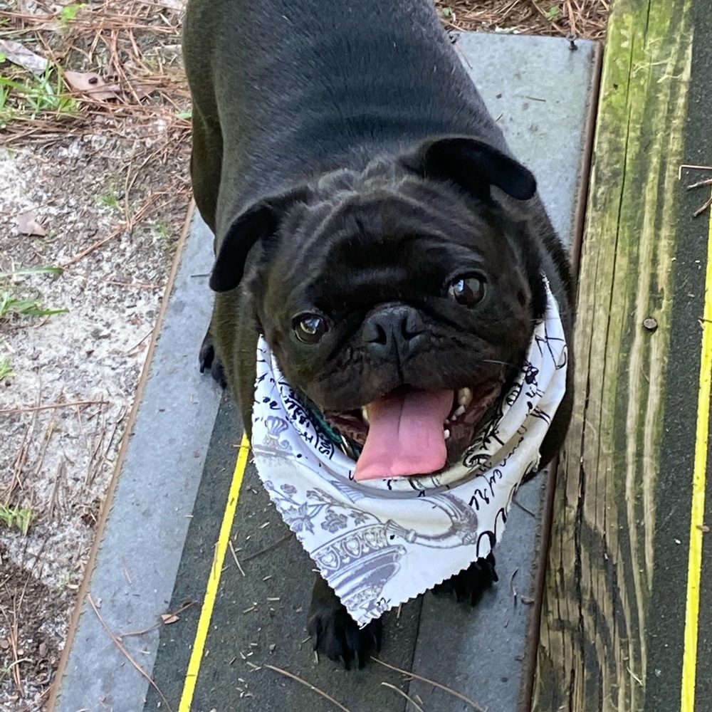 Meet your Posher, Myrakle